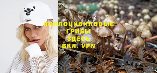 кристаллы Белокуриха