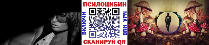 Купить закладки  Сатка  Псилоцибиновые грибы Cubensis 